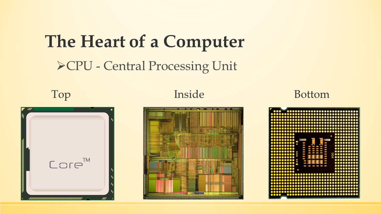 A slide showing the cap, the inside and pin configuration of a cpu.